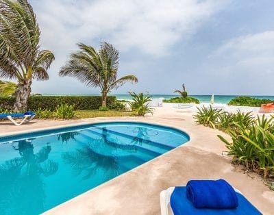 Tortuga Riviera Maya