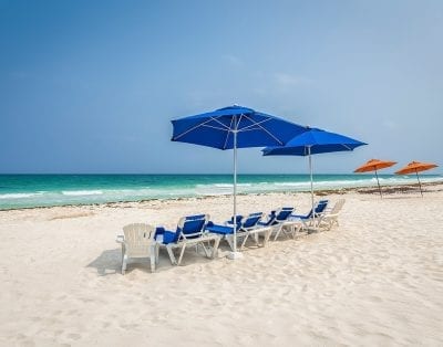 Tortuga Riviera Maya