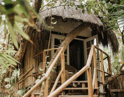 mahayana treehouse