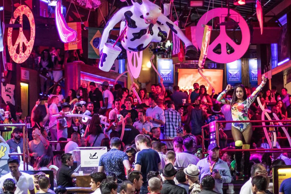 la vaquita puerto vallarta