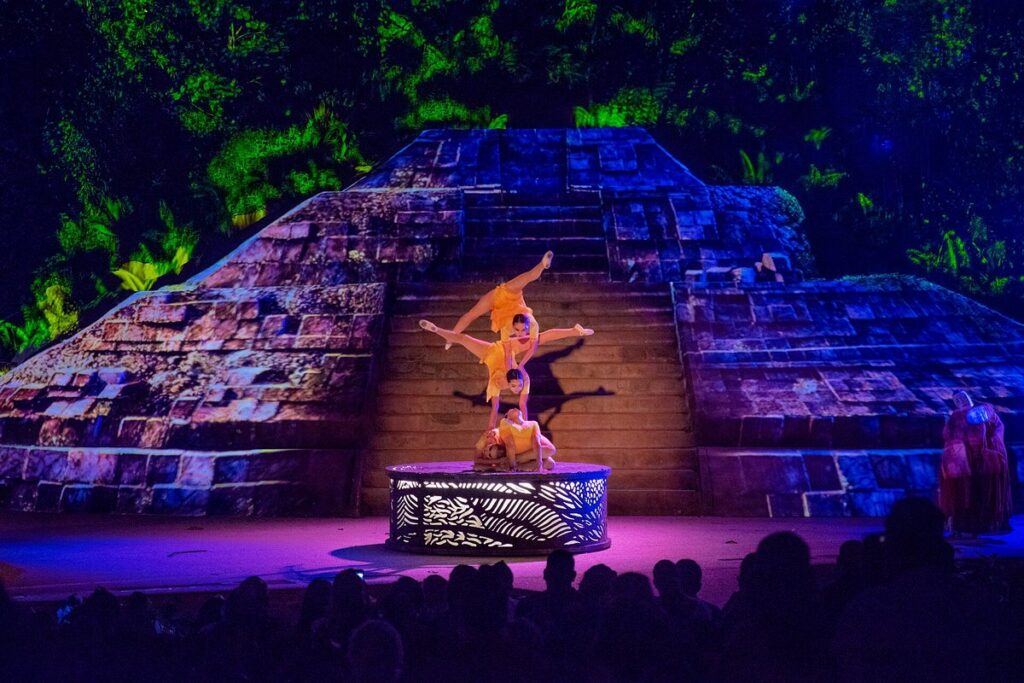 rhythms of the night