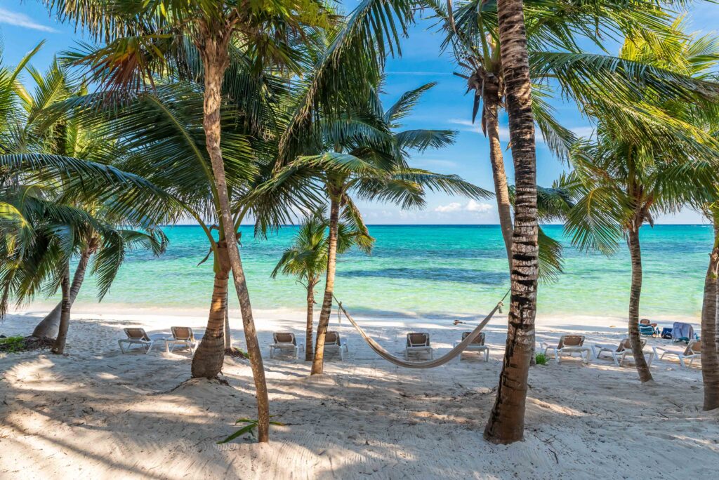 sargassum barrier tulum
