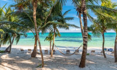 Good News: Tulum gets New Barrier to Curb Invasive Sargassum!