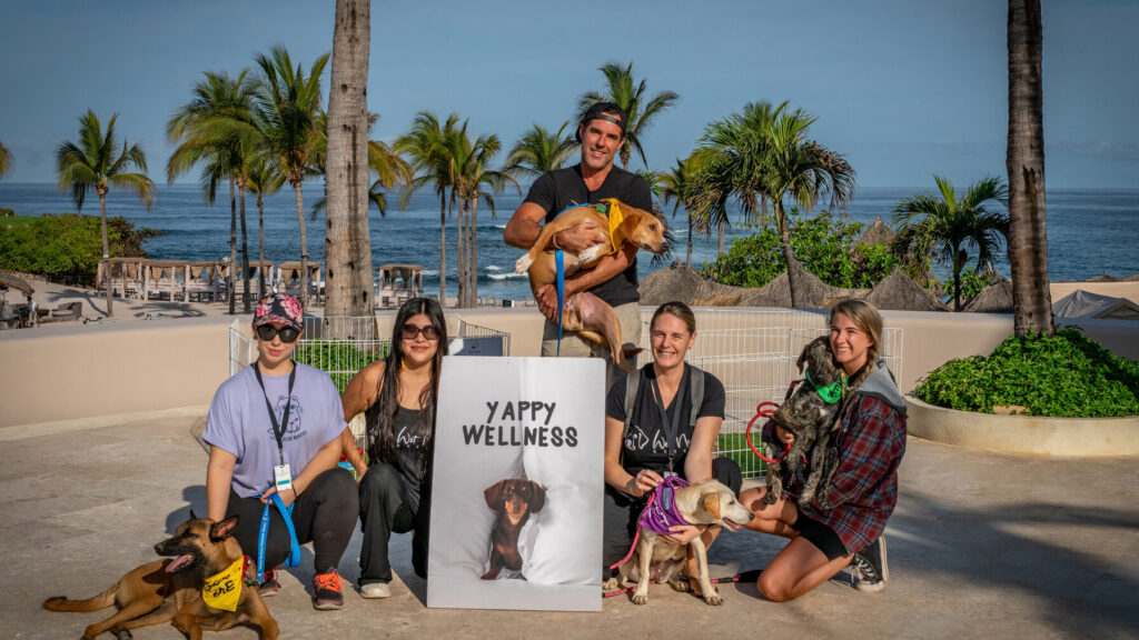 pet friendly activities four seasons