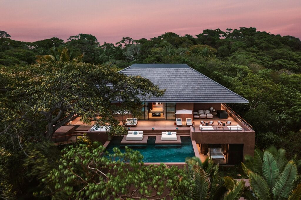 one and only mandarina