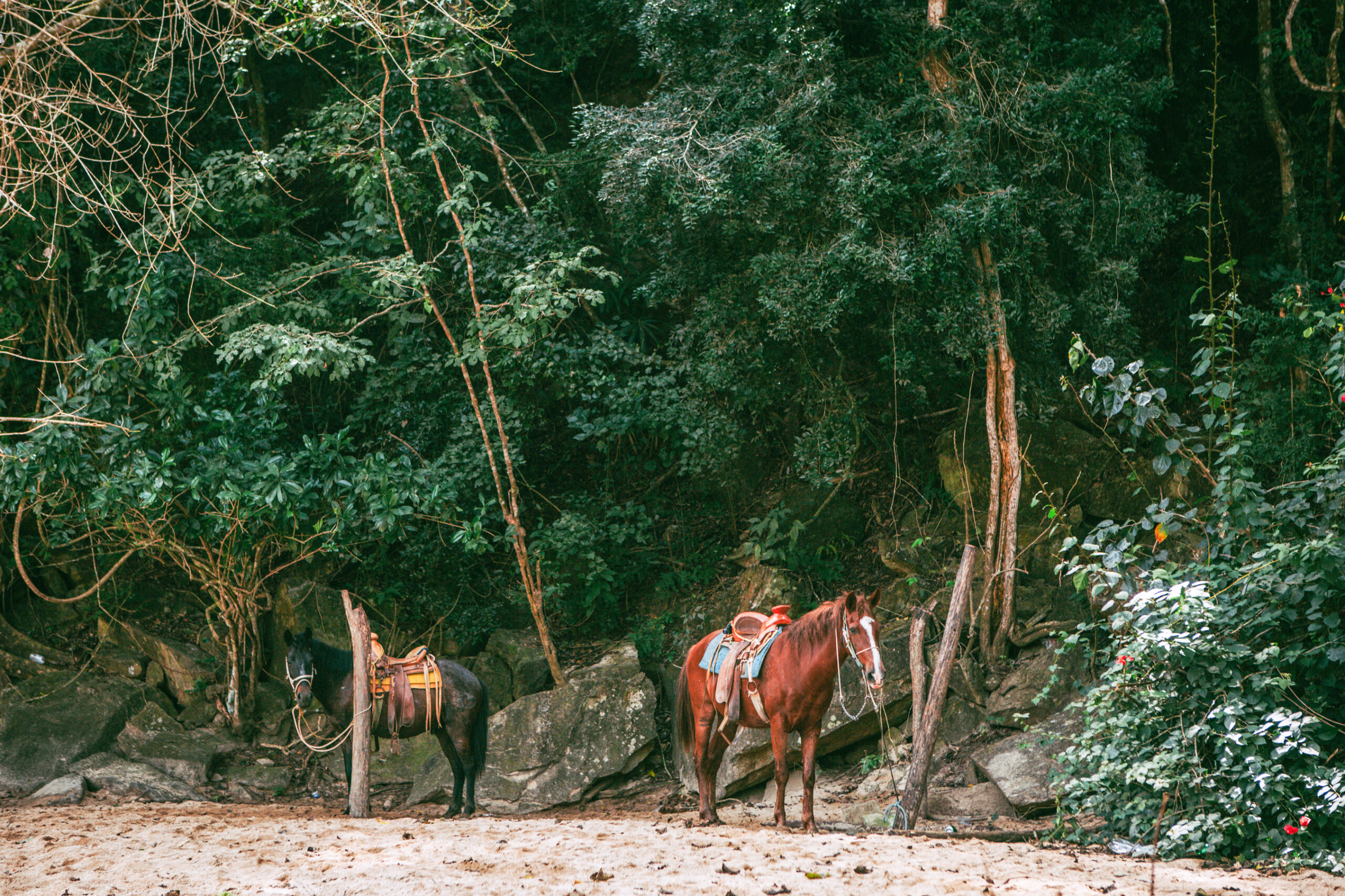 Horseback riding through mountain trails near Quimixto, Puerto Vallarta