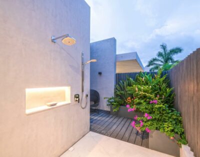 cola de ballena pacifico estates punta mita