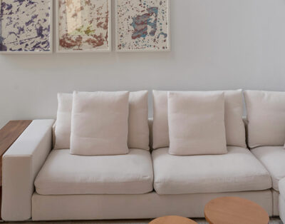 jaguar ranchos estates punta mita