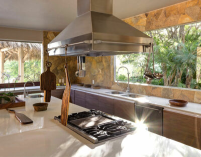 palo de brasil estate punta de mita