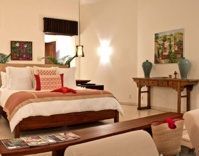 venado ranchos estates punta mita