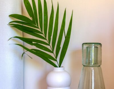 casa uno mas punta mita