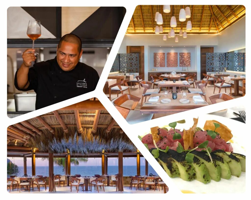 Collage showcasing a sommelier evaluating wine, a modern dining interior, and two exquisite dishes under ambient lighting.