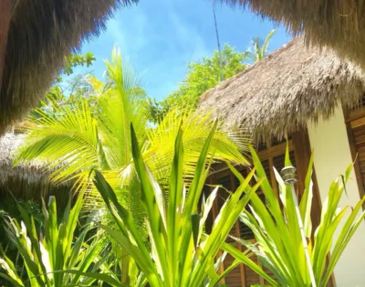 casa-rhino-puerto-escondido0_1