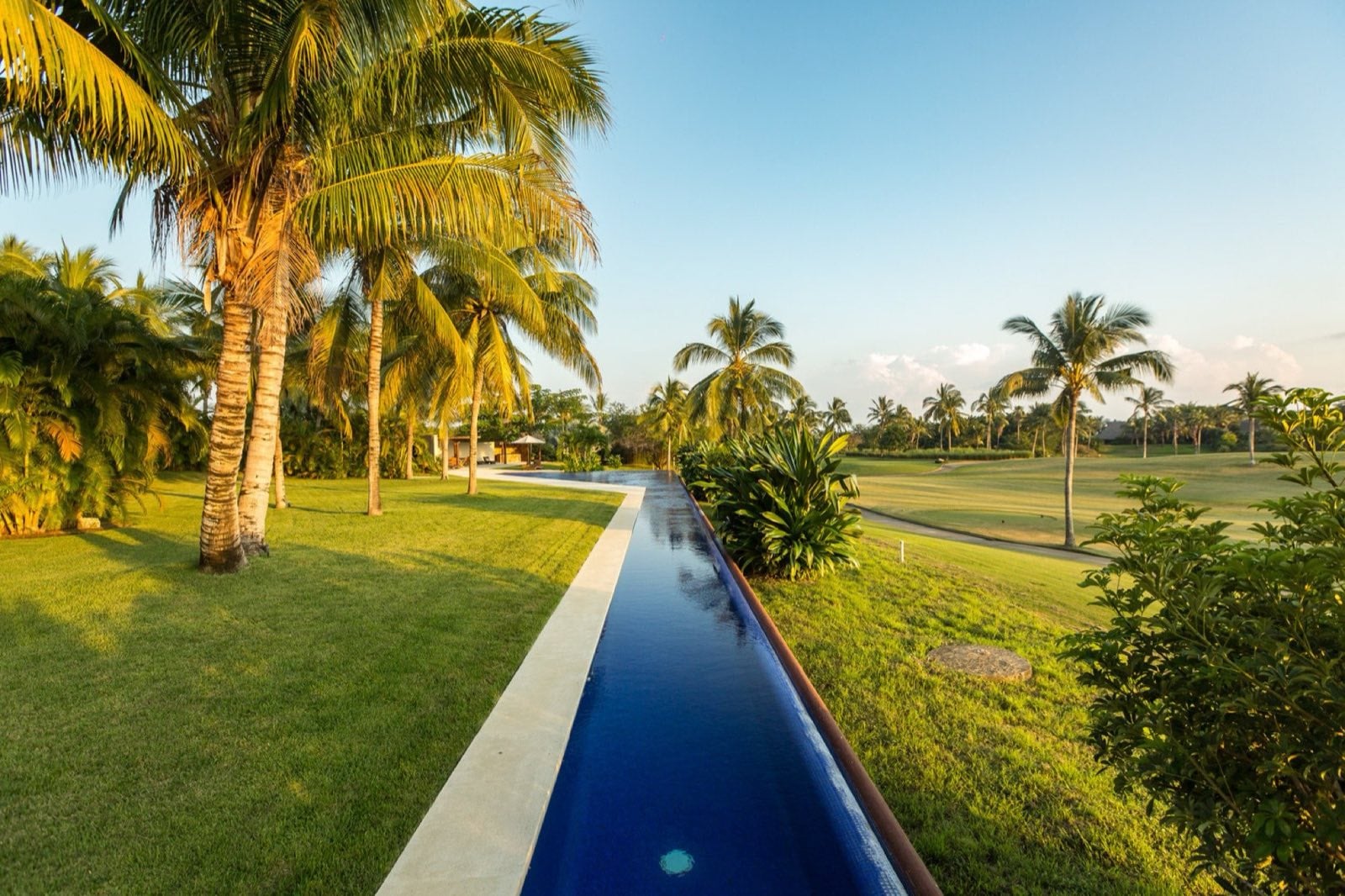 Condo Terazzas P23 long narrow pool bordered by palms and lawn — Punta Mita Nayarit, Mexico