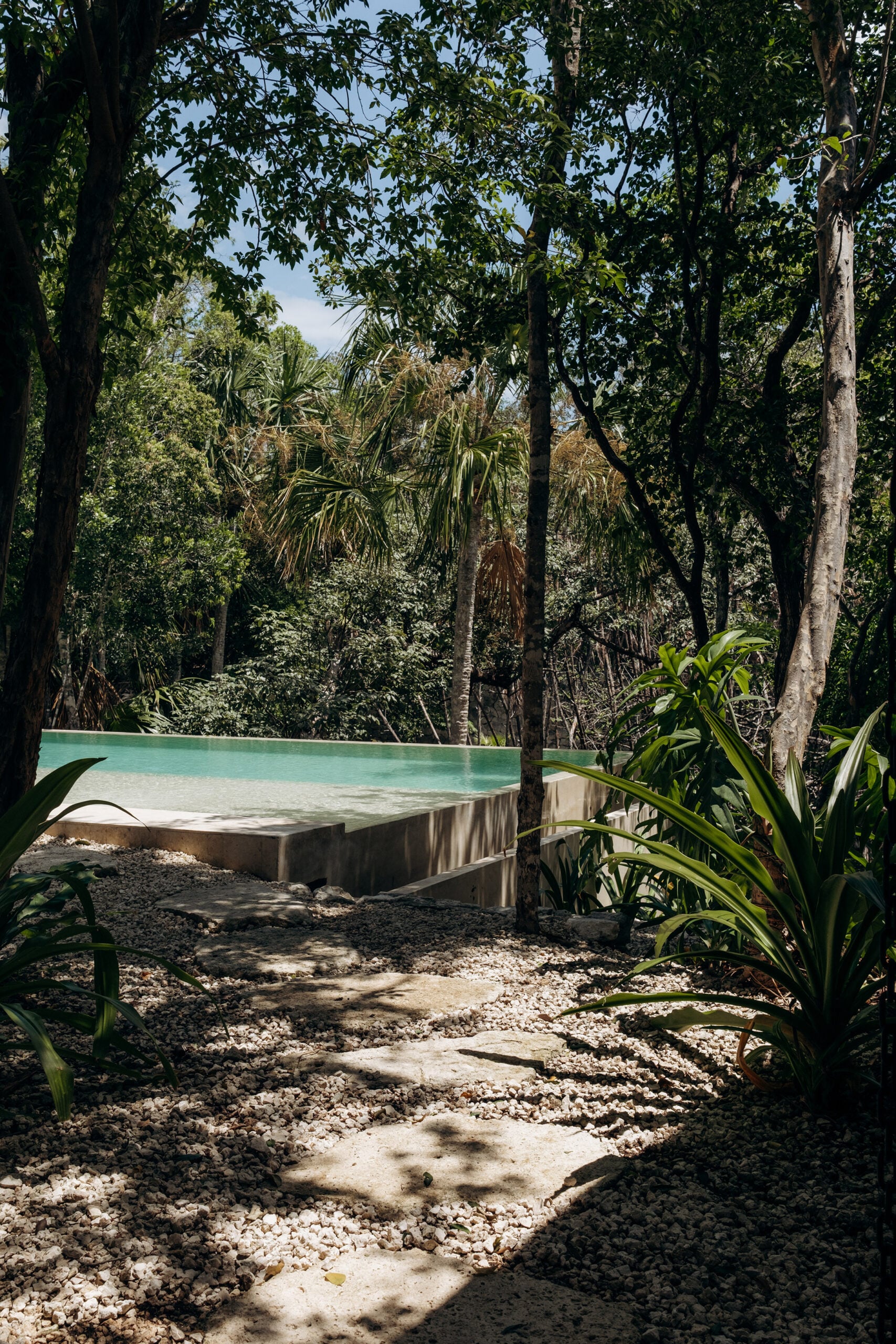 Casa Tropical elevated concrete pool surrounded by dense jungle canopy — Region 15 Tulum