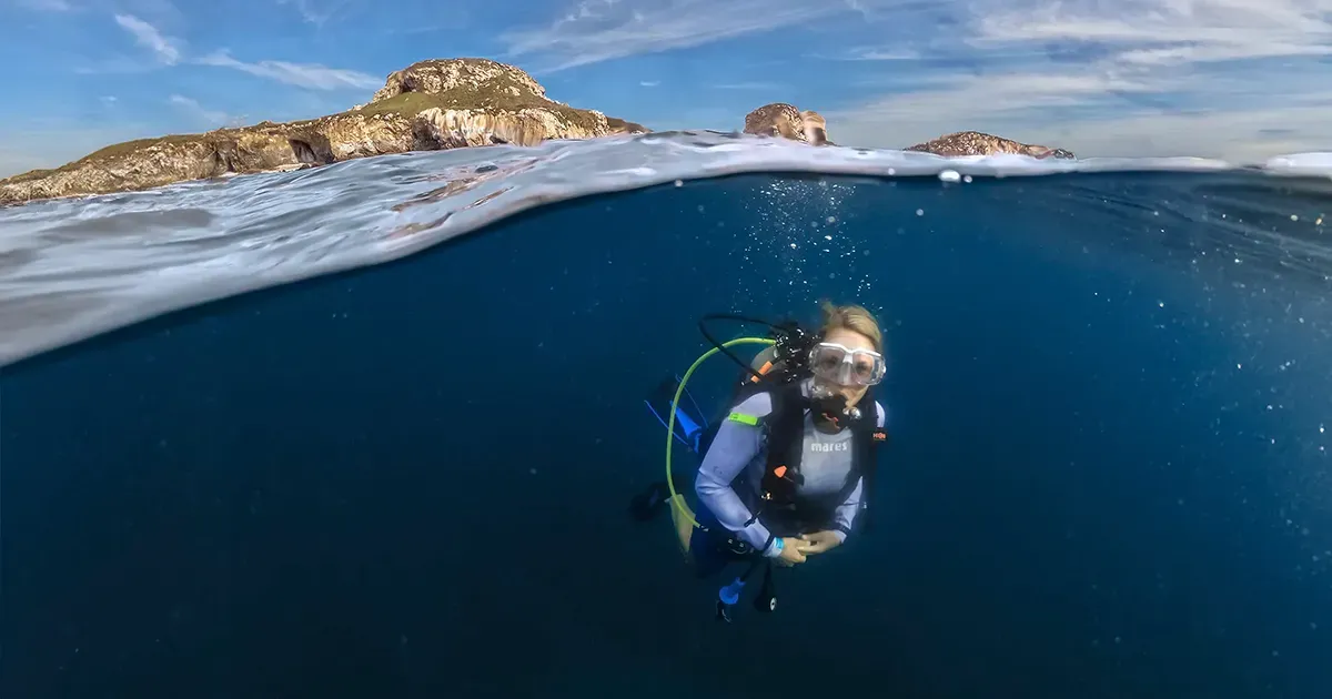 Scuba diving tour at the Marietas Islands volcanic reef from Punta Mita
