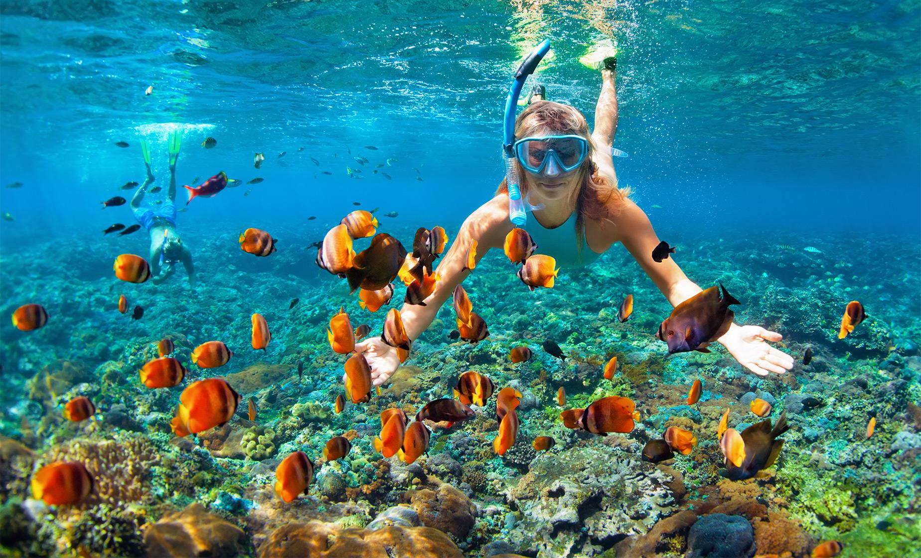 Snorkeling tour at the Marietas Islands from Punta Mita
