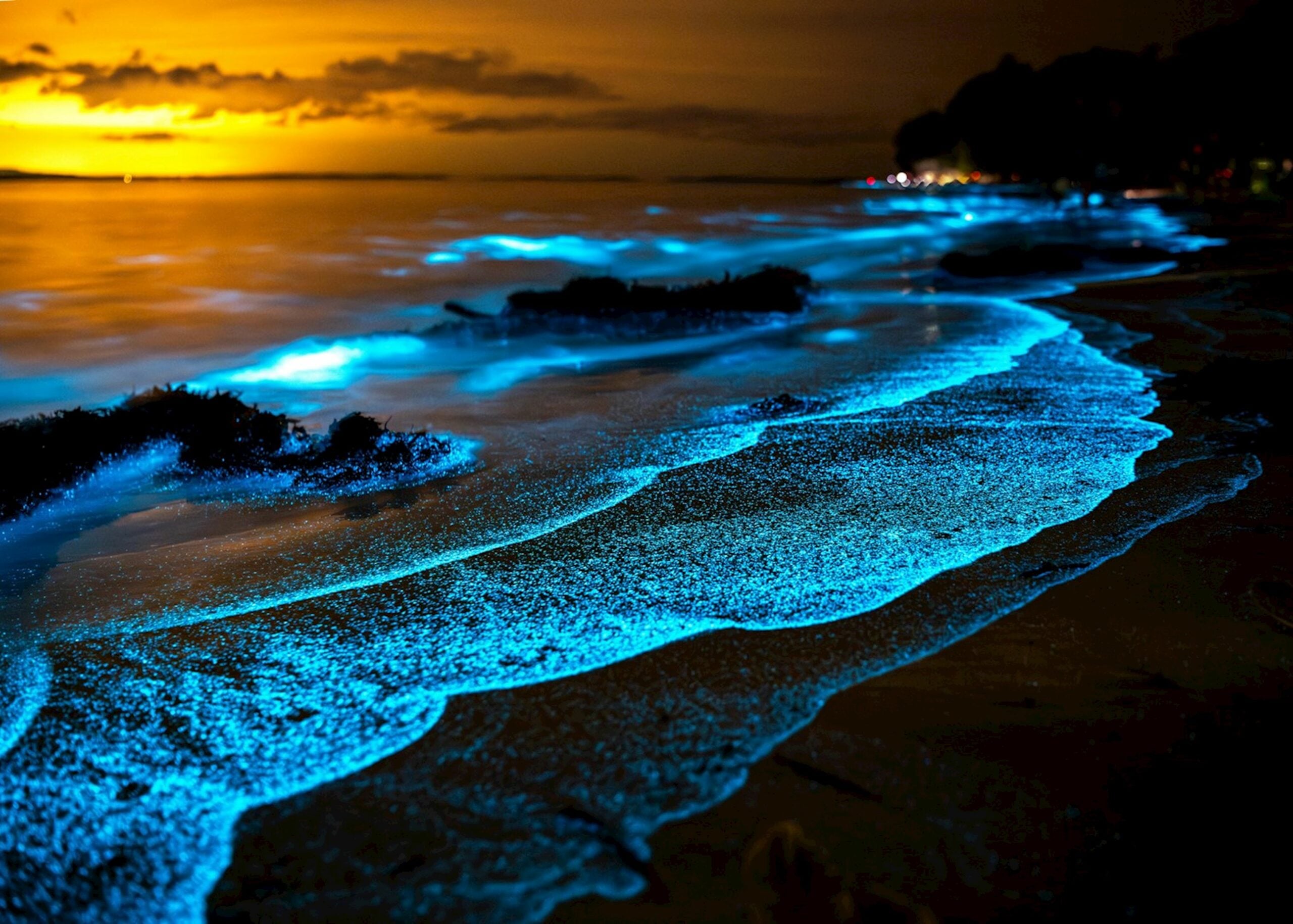 Bioluminescence night tour glowing blue water at Los Arcos Puerto Vallarta