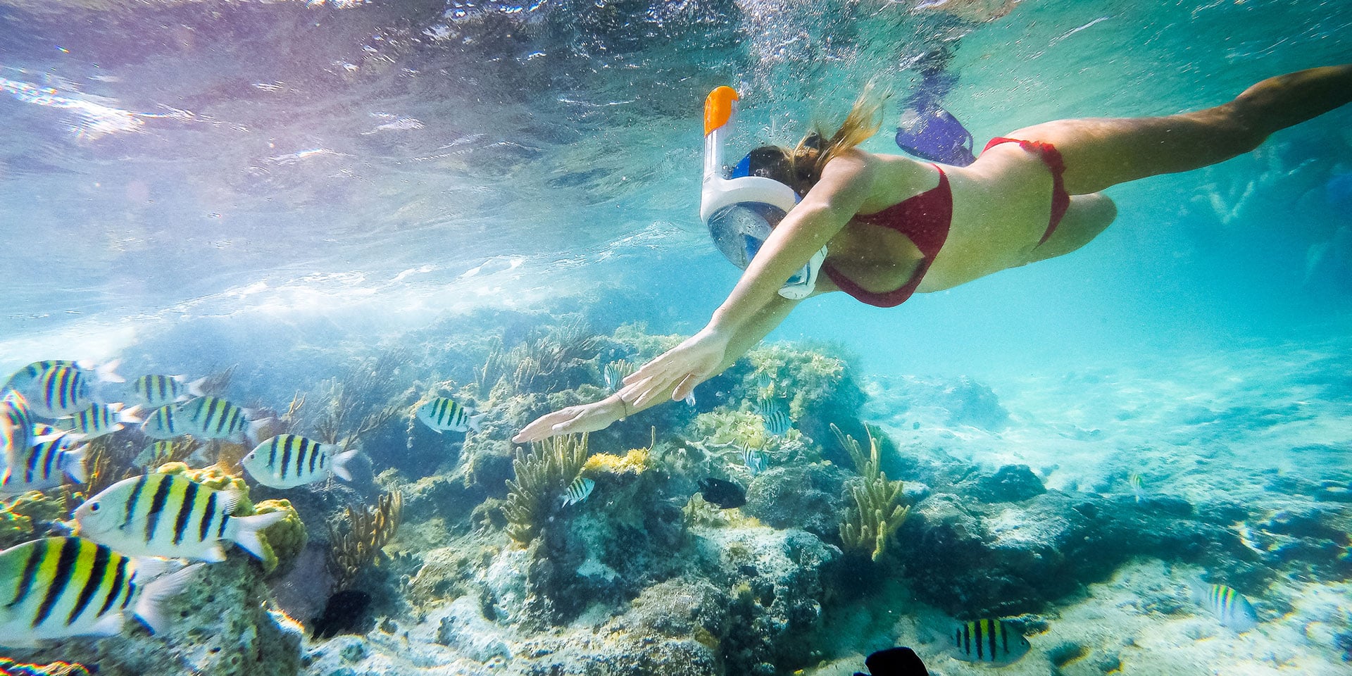Snorkeling adventure in clear blue water near Punta Mita Marietas Islands