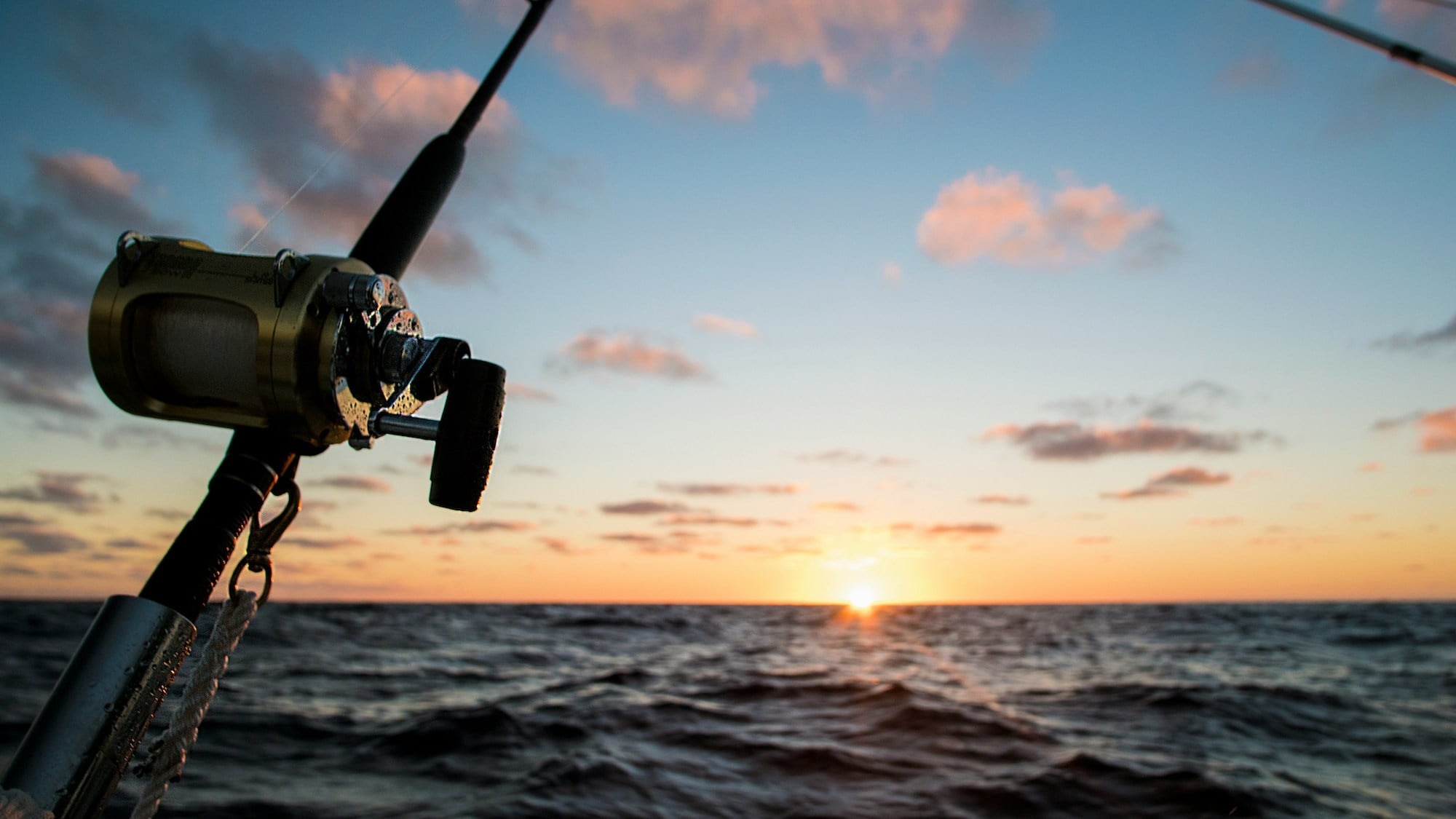 Shared sportfishing charter boat with group of anglers at Cabo San Lucas marina
