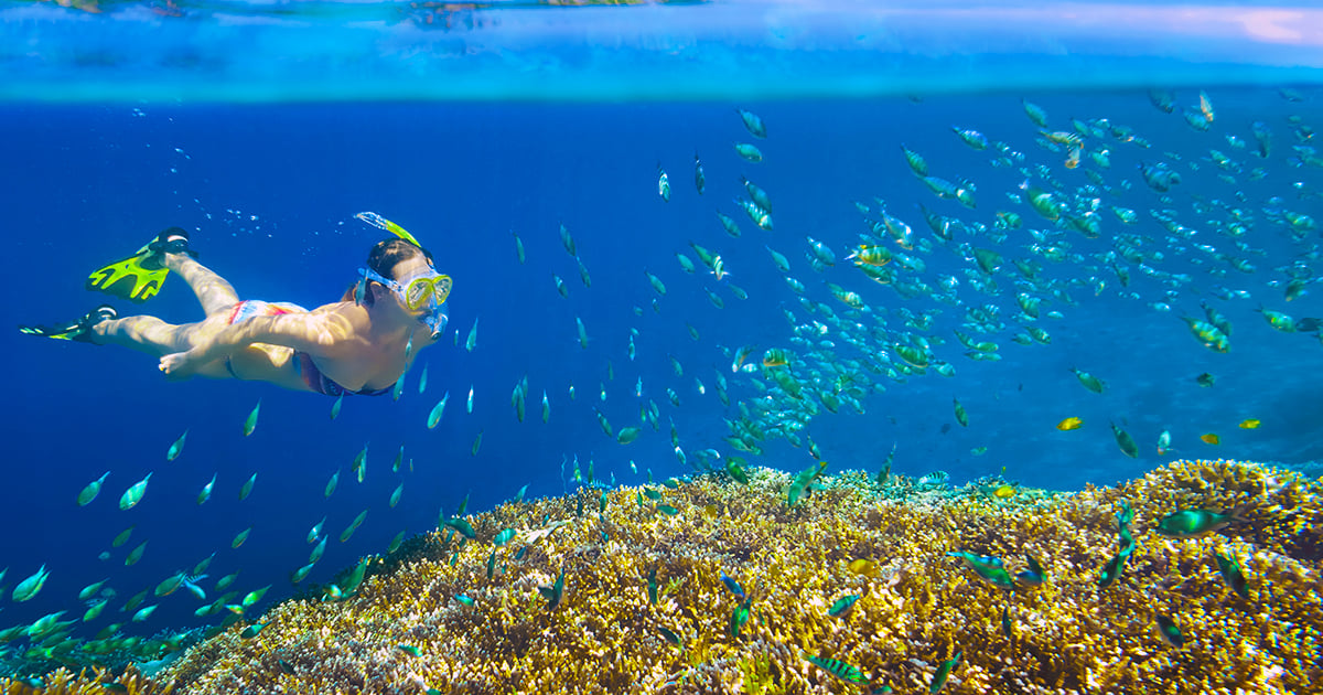 Snorkeling in crystal clear water at Santa Maria Bay with tropical fish Cabo San Lucas