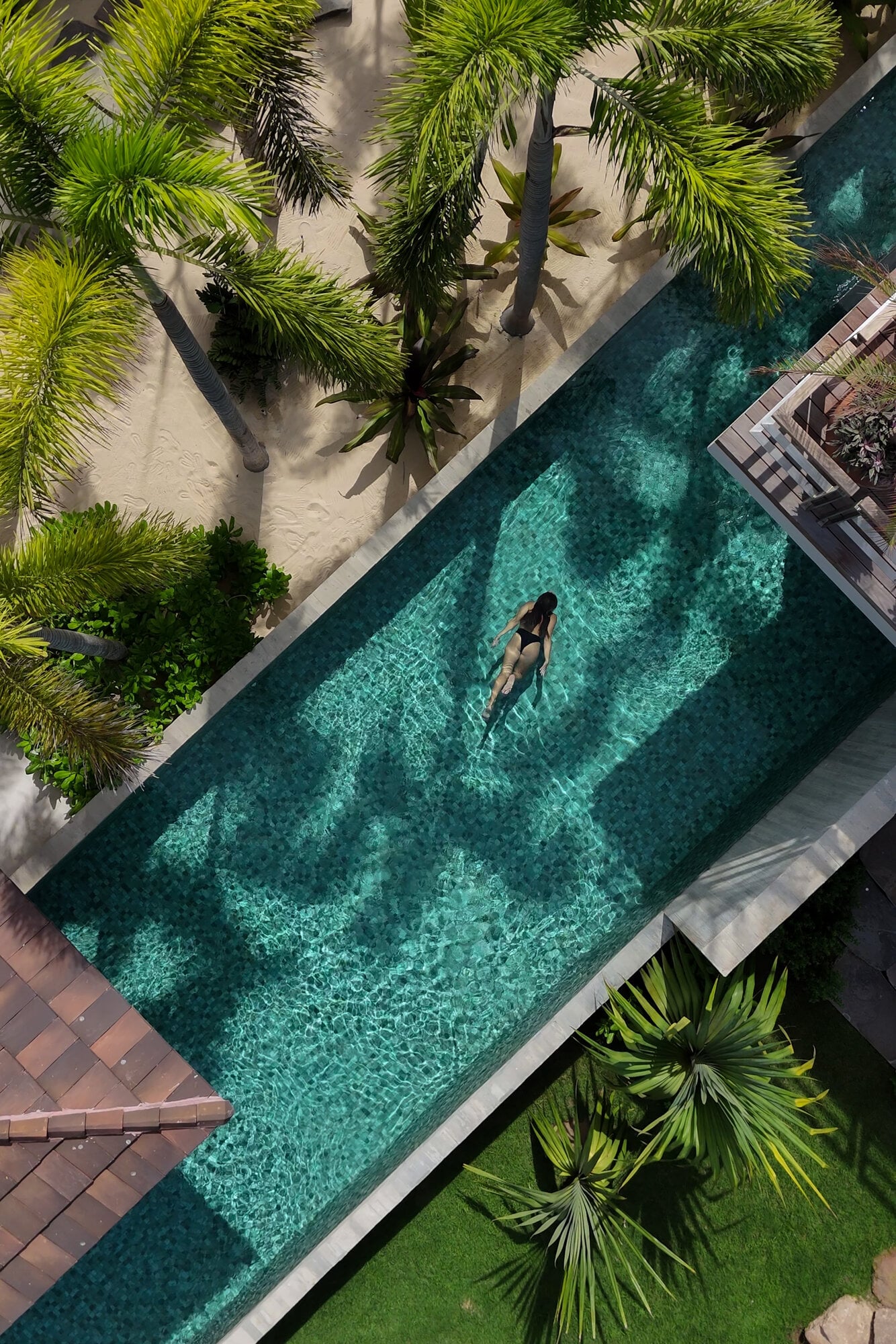 Casa Koko Iyari top-down view of a swimmer in a long pool bordered by palms — Punta Mita Nayarit, Mexico
